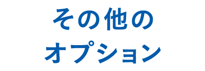 その他のオプション